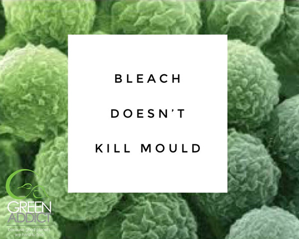 Bleach Doesn't Kill Mould - A Blog Post by GreenAddict Products